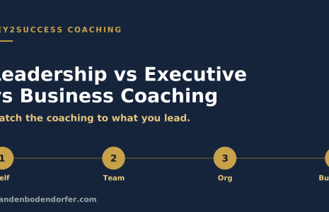 Leadership vs executive vs business coaching, which one do you need