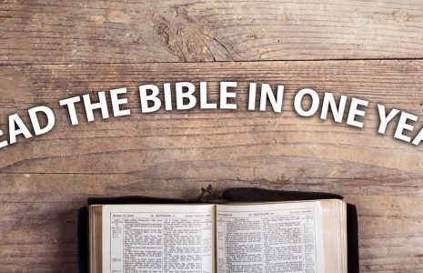 bible planner 2023 digital