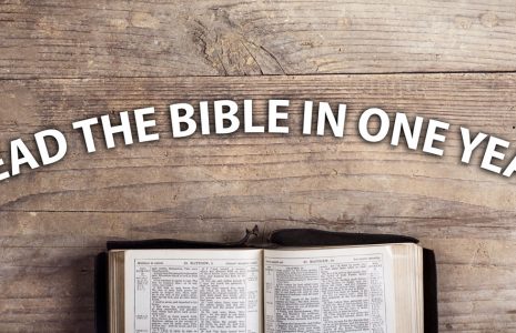 read the bible in one year digital planner